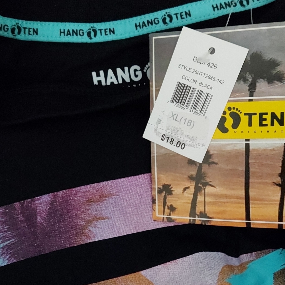 NWT Boys' Hang Ten Black Graphic Tee with Tropical Stripe Print - Picture 2 of 3